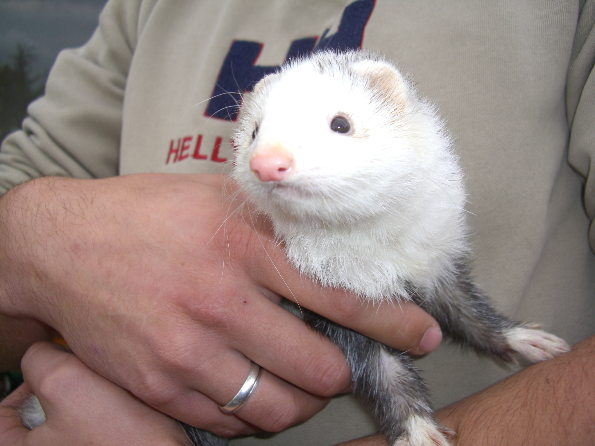 Horst Köster Bilder